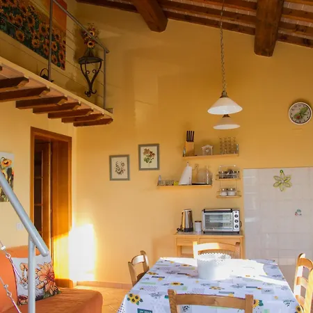 San Martino - Cecina *